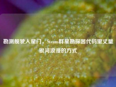 勘测舰驶入星门，Steam群星勘探器代码里丈量银河浪漫的方式