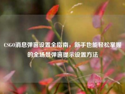 CSGO消息弹窗设置全指南，新手也能轻松掌握的全场景弹窗提示设置方法
