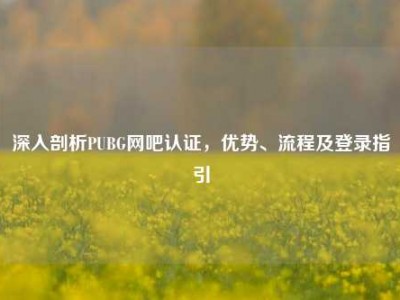 深入剖析PUBG网吧认证，优势、流程及登录指引