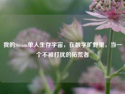 我的Steam单人生存宇宙，在数字旷野里，当一个不被打扰的拓荒者