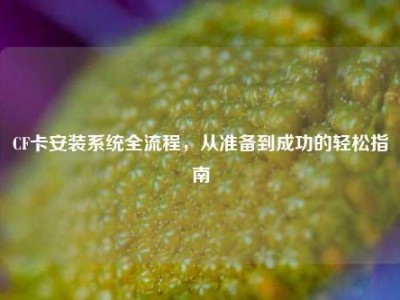 CF卡安装系统全流程，从准备到成功的轻松指南