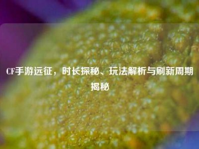 CF手游远征，时长探秘、玩法解析与刷新周期揭秘