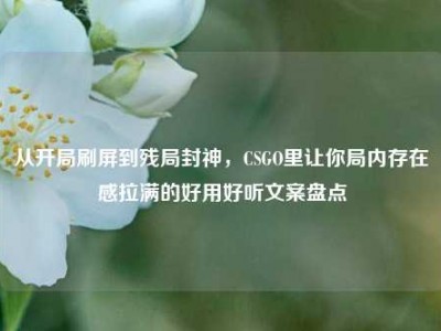 从开局刷屏到残局封神，CSGO里让你局内存在感拉满的好用好听文案盘点