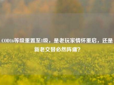COD16等级重置至1级，是老玩家情怀重启，还是新老交替必然阵痛？