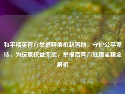 和平精英官方举报赔偿机制落地，守护公平竞技，为玩家权益兜底，举报后官方处理流程全解析
