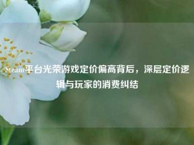 Steam平台光荣游戏定价偏高背后，深层定价逻辑与玩家的消费纠结