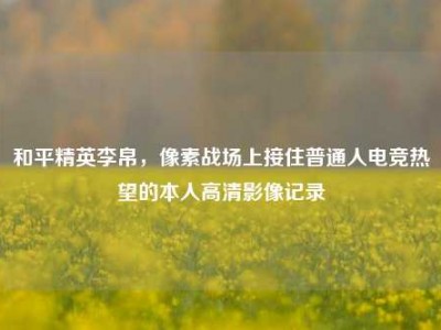 和平精英李帛，像素战场上接住普通人电竞热望的本人高清影像记录