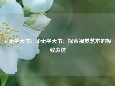 3d无字天书：3D无字天书：探索视觉艺术的极致表达