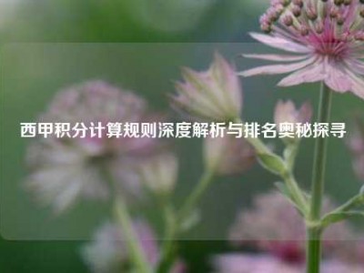 西甲积分计算规则深度解析与排名奥秘探寻