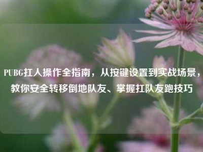 PUBG扛人操作全指南，从按键设置到实战场景，教你安全转移倒地队友、掌握扛队友跑技巧