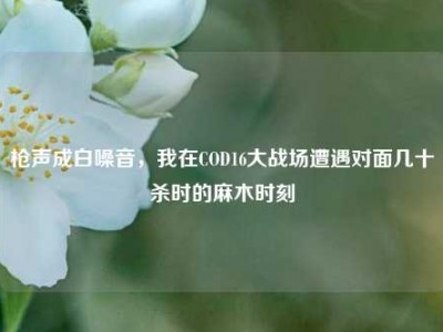 枪声成白噪音，我在COD16大战场遭遇对面几十杀时的麻木时刻