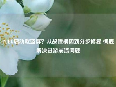 PUBG启动就蓝屏？从故障根因到分步修复 彻底解决进游崩溃问题