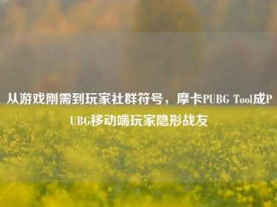 从游戏刚需到玩家社群符号，摩卡PUBG Tool成PUBG移动端玩家隐形战友