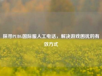 探寻PUBG国际服人工电话，解决游戏困扰的有效方式