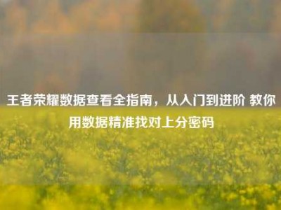 王者荣耀数据查看全指南，从入门到进阶 教你用数据精准找对上分密码