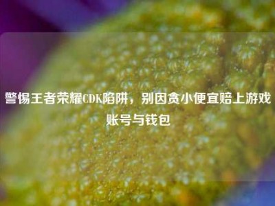 警惕王者荣耀CDK陷阱，别因贪小便宜赔上游戏账号与钱包