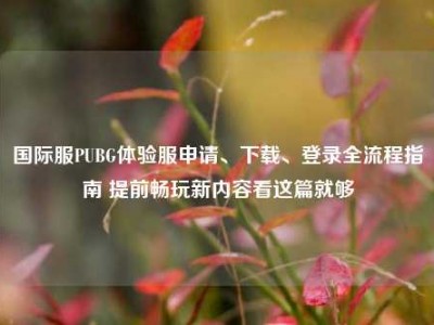 国际服PUBG体验服申请、下载、登录全流程指南 提前畅玩新内容看这篇就够