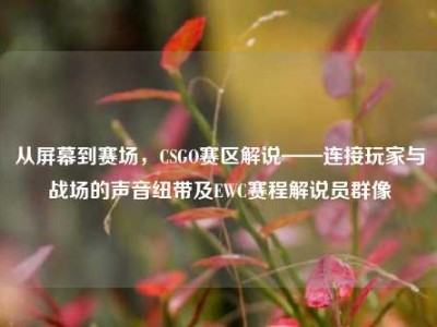 从屏幕到赛场，CSGO赛区解说——连接玩家与战场的声音纽带及EWC赛程解说员群像