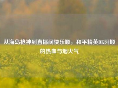 从海岛枪神到直播间快乐顺，和平精英DK阿顺的热血与烟火气