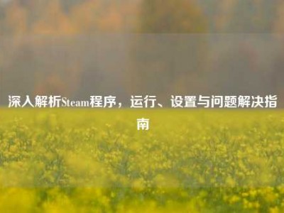 深入解析Steam程序，运行、设置与问题解决指南