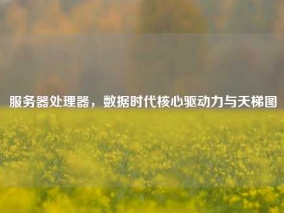 服务器处理器，数据时代核心驱动力与天梯图