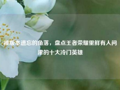 被版本遗忘的角落，盘点王者荣耀里鲜有人问津的十大冷门英雄