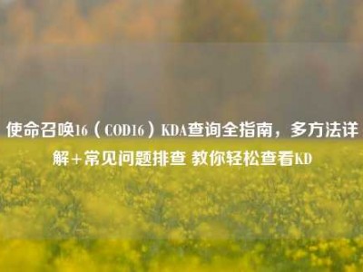 使命召唤16（COD16）KDA查询全指南，多方法详解+常见问题排查 教你轻松查看KD
