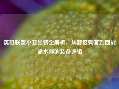 英雄联盟小丑出装全解析，从野区刺客到团战诡术师的装备逻辑