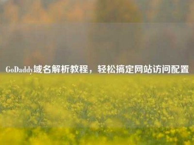 GoDaddy域名解析教程，轻松搞定网站访问配置