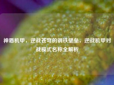 神盾机甲，逆战苍穹的钢铁壁垒，逆战机甲对战模式名称全解析
