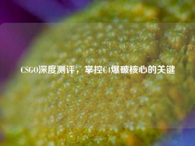 CSGO深度测评，掌控C4爆破核心的关键