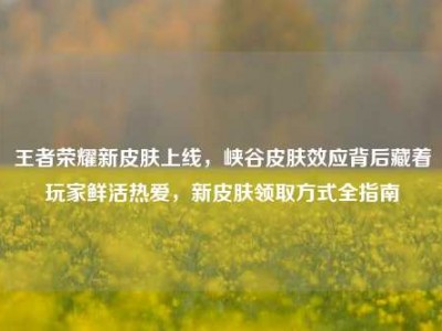 王者荣耀新皮肤上线，峡谷皮肤效应背后藏着玩家鲜活热爱，新皮肤领取方式全指南