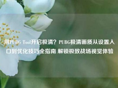 用PUBG Tool开启极清？PUBG极清画质从设置入口到优化技巧全指南 解锁极致战场视觉体验