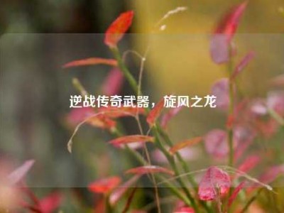 逆战传奇武器，旋风之龙