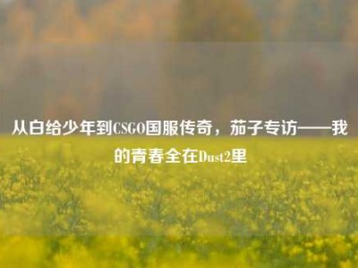 从白给少年到CSGO国服传奇，茄子专访——我的青春全在Dust2里