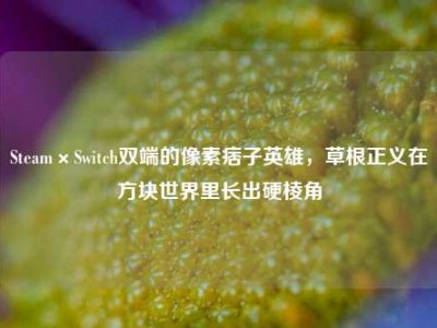 Steam×Switch双端的像素痞子英雄，草根正义在方块世界里长出硬棱角