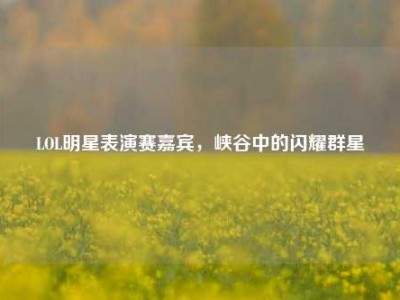 LOL明星表演赛嘉宾，峡谷中的闪耀群星