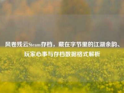 风卷残云Steam存档，藏在字节里的江湖余韵、玩家心事与存档数据格式解析