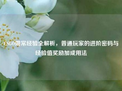 CSGO周常经验全解析，普通玩家的进阶密码与经验值奖励加成用法