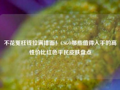 不花冤枉钱拉满排面！CSGO那些值得入手的高性价比红色平民皮肤盘点
