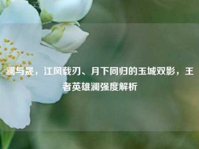 澜与晟，江风载刃、月下同归的玉城双影，王者英雄澜强度解析