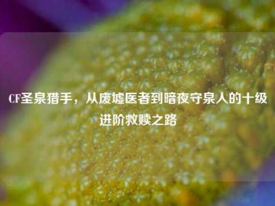 CF圣泉猎手，从废墟医者到暗夜守泉人的十级进阶救赎之路