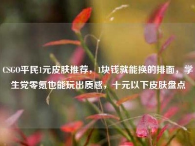 CSGO平民1元皮肤推荐，1块钱就能换的排面，学生党零氪也能玩出质感，十元以下皮肤盘点