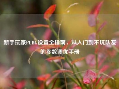 新手玩家PUBG设置全指南，从入门到不坑队友的参数调优手册