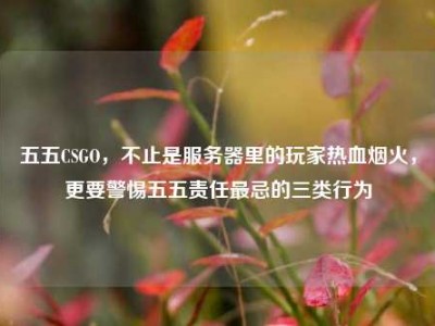 五五CSGO，不止是服务器里的玩家热血烟火，更要警惕五五责任最忌的三类行为