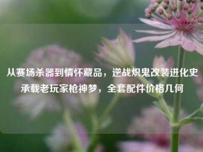 从赛场杀器到情怀藏品，逆战炽鬼改装进化史承载老玩家枪神梦，全套配件价格几何