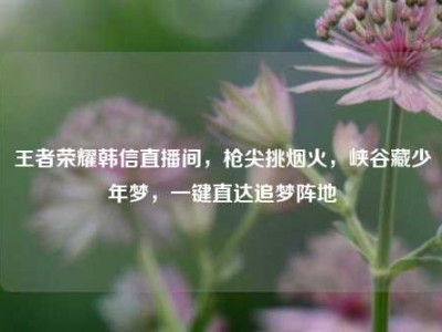 王者荣耀韩信直播间，枪尖挑烟火，峡谷藏少年梦，一键直达追梦阵地