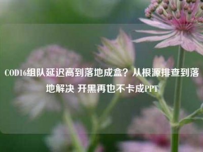 COD16组队延迟高到落地成盒？从根源排查到落地解决 开黑再也不卡成PPT