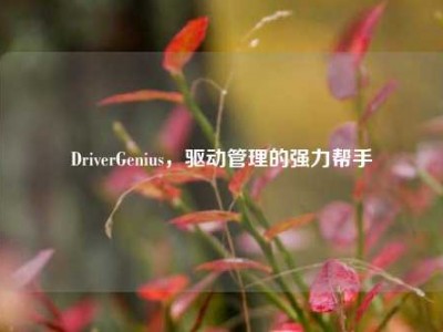 DriverGenius，驱动管理的强力帮手