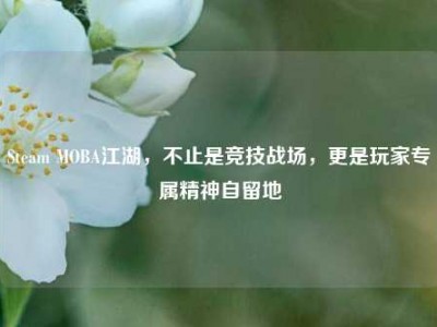 Steam MOBA江湖，不止是竞技战场，更是玩家专属精神自留地